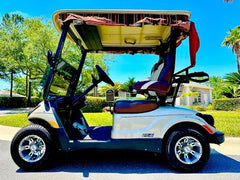 2014 Yamaha Drive G29 Golf Cart for Sale