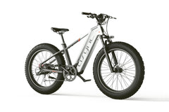 Zenith Model L5 E-Bike