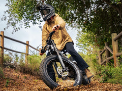Himiway | D7 Pro | Mountain eBike