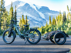 Himiway | D5 2.0 Camo | eBike