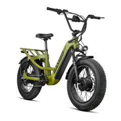 Revolt AWD Step Thru Bike