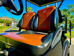 2010 Club Car Precedent Golf Cart for Sale