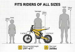 Heybike | Villain | OFF-ROAD USE ONLY