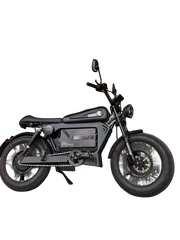 SoverSky | | Knight Electric Fat Tire Bike | 1500W 48V 30Ah