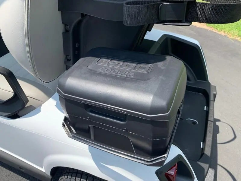 2020 E-Z-GO Fleet RXV ELiTE Golf Cart For Sale