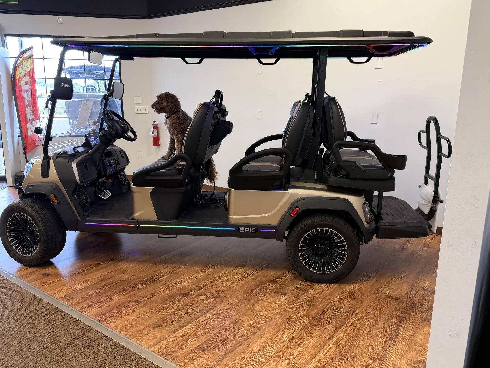 2026 Epic E60FX Champagne Golf Cart for Sale