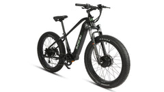 Eunorau | FAT-AWD 2.0 | FAT-AWD-SO17-HTC - Step Thru (Torque Sensor) Maple