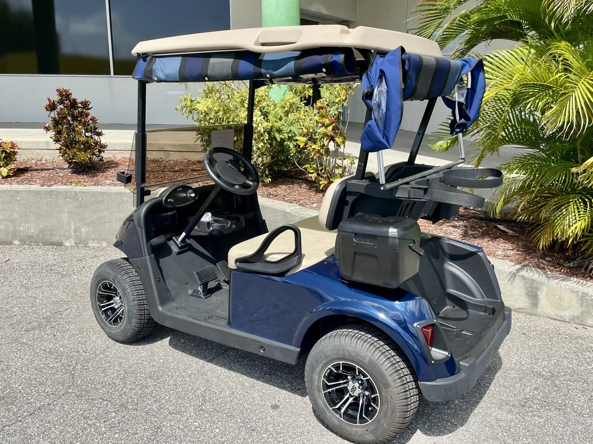 2019 E-Z-GO RXV Elite Lithium Golfer Special Golf Cart for Sale