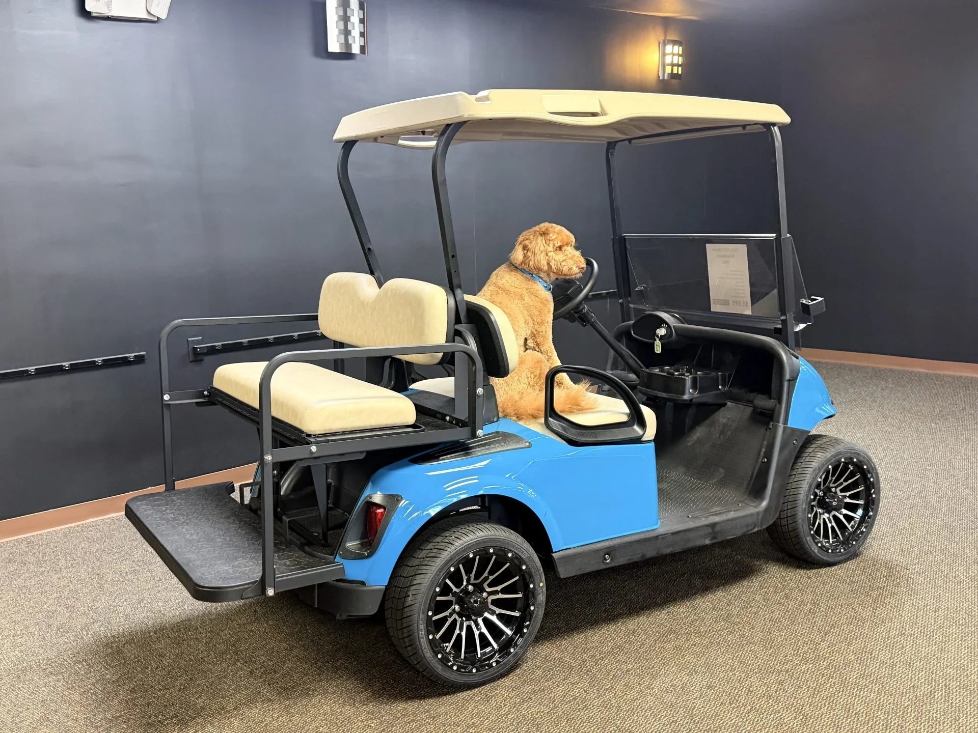 2020 RXV Elite Lithium E-Z-GO Golf Cart for Sale (Blue)