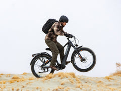 Heybike | Alpha Mid-Drive All-Terrain Fat-Tire E-Bike