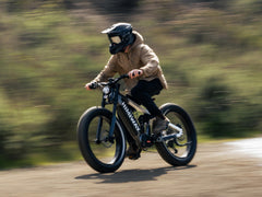 Himiway | D7 Pro | Mountain eBike