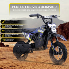 MotoTec | 36v 300w Electric Dirt Bike | HP122E