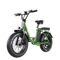 Freego | FB-20X Cargo E-Bike | 750W, 20x4 Fat Tire - 25Ah Battery With Rear Trunk