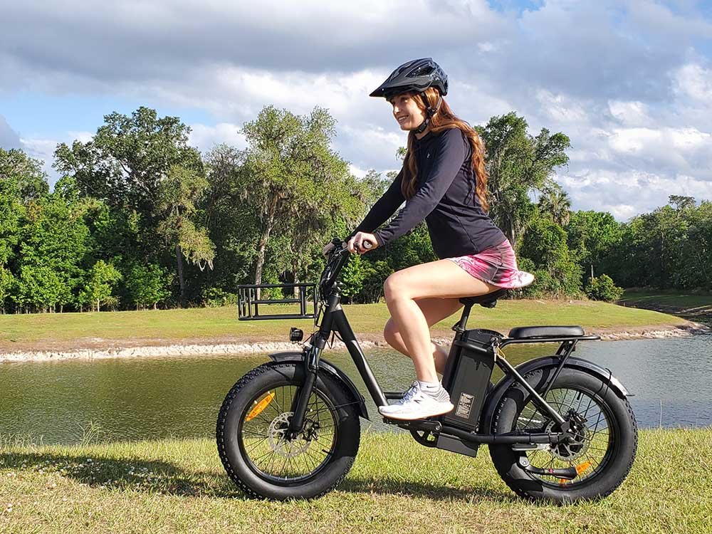 Freego FB-20X Cargo E-Bike | 750W, 20x4 Fat Tire