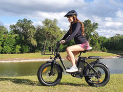 Freego FB-20X Cargo E-Bike | 750W, 20x4 Fat Tire
