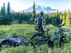 Himiway | D5 2.0 Camo | eBike