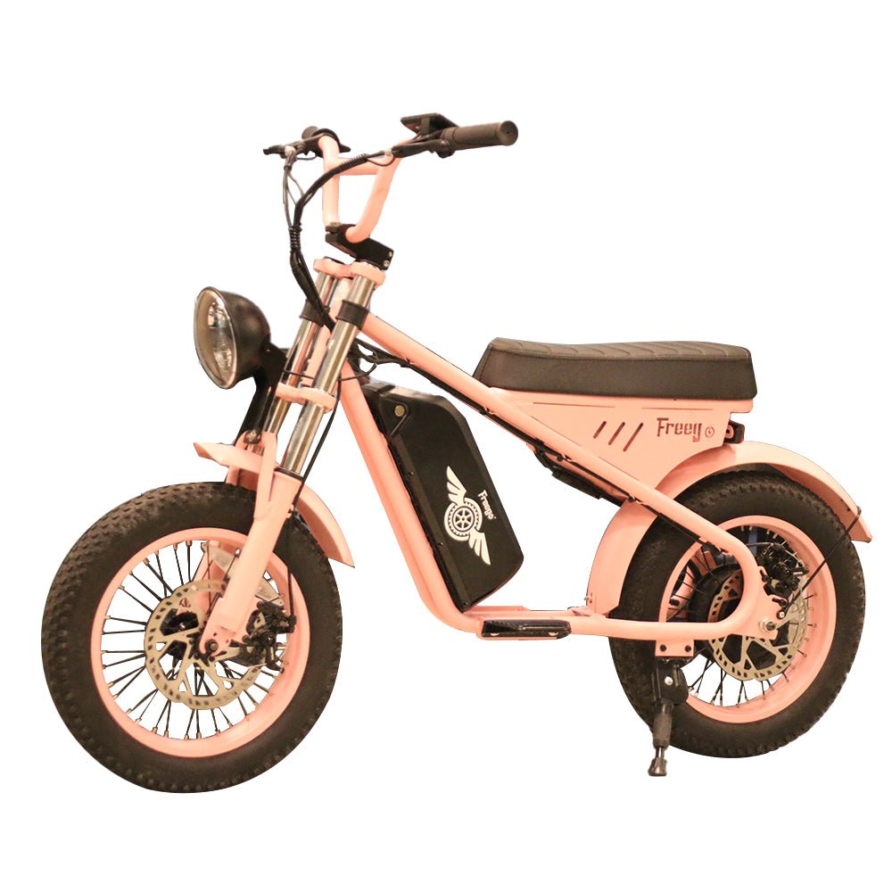 Freego | Mini M1 Kids Electric Motorcycle | 500W - M1 Black（10.4AH）