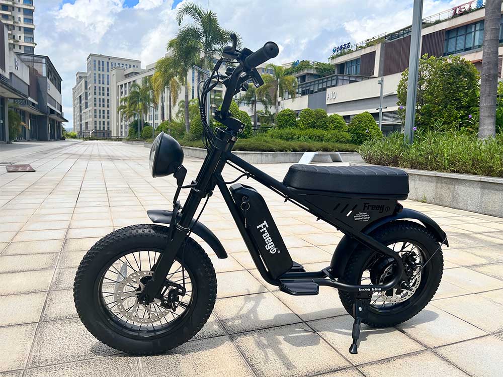 Freego | Mini M1 Kids Electric Motorcycle | 500W - M1 Black（10.4AH）