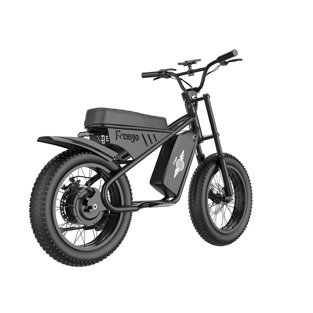 Freego Mini M1 Kids Electric Motorcycle | 500W