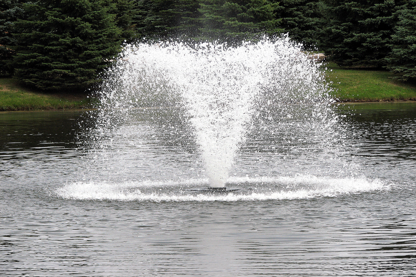 Scott Aerator | North Star Display Aerator