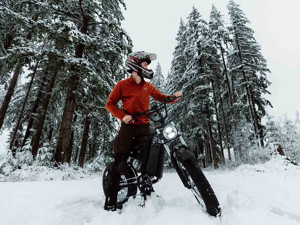 Freego | S1 Cafe Racer E-Bike | 750W Mid-Drive