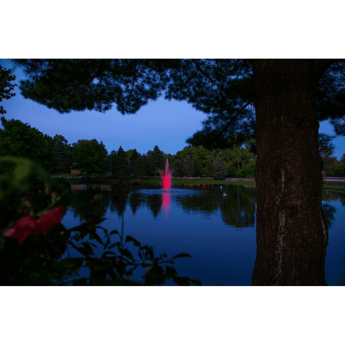 Scott Aerator | 14-Color LED Lights