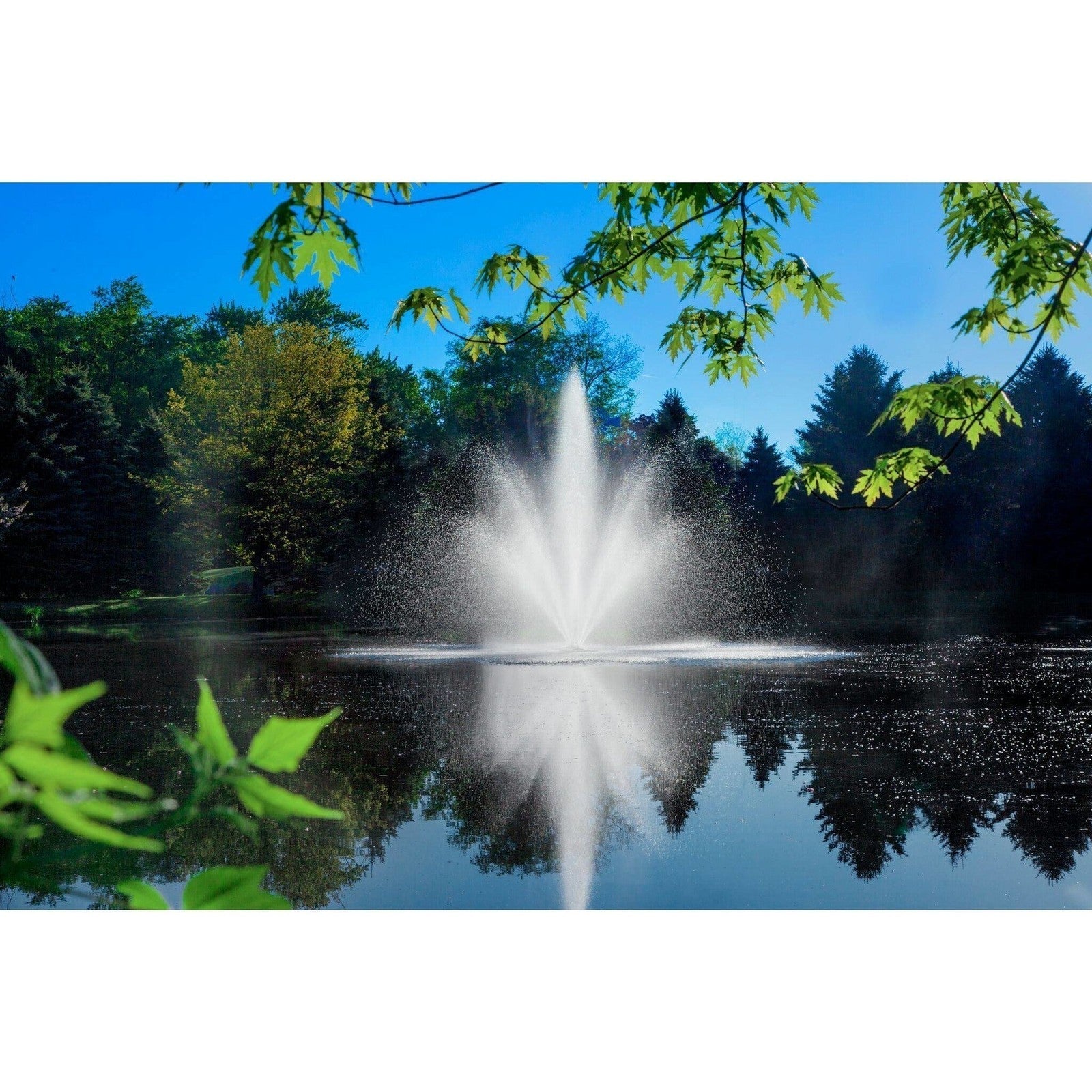 Scott Aerator | Cambridge Fountain