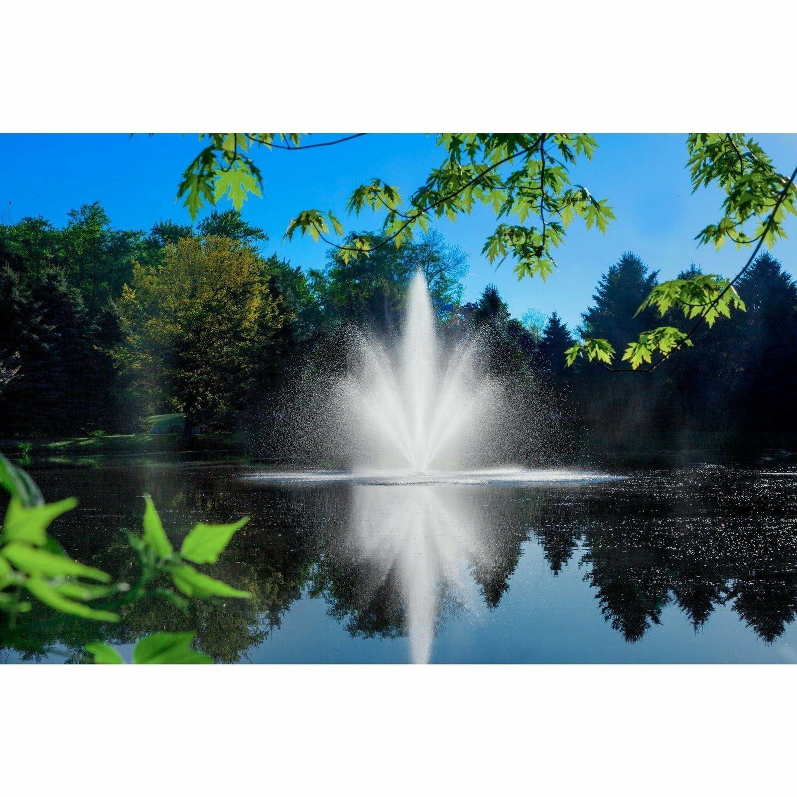 Scott Aerator | Triad Fountain