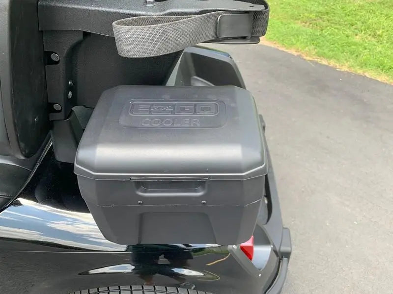 2020 E-Z-GO Fleet RXV ELiTE Golf Cart For Sale