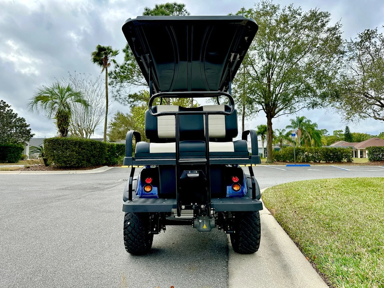 2024 Forester Evolution 4 Plus Golf Cart for Sale