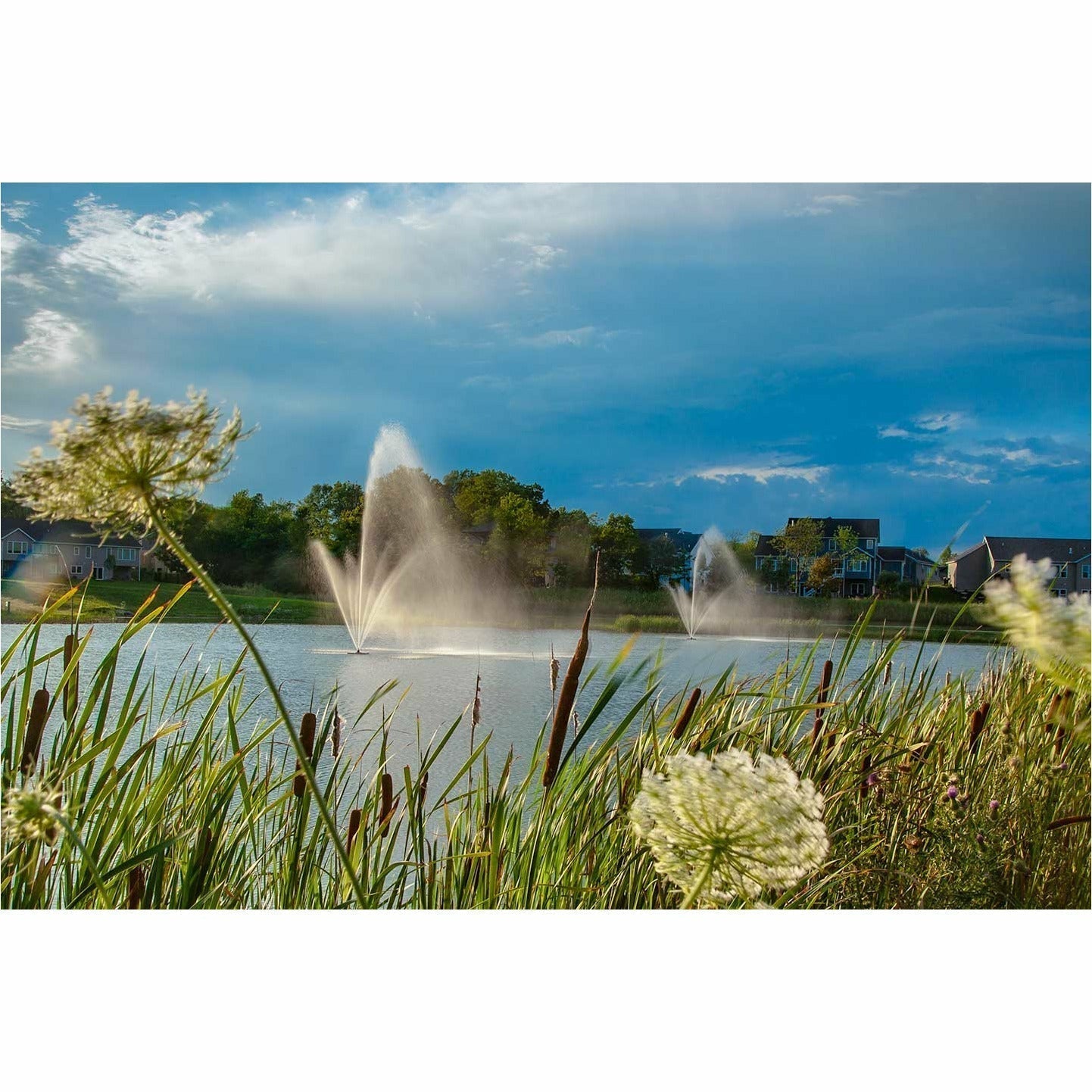 Scott Aerator | Atriarch Fountain