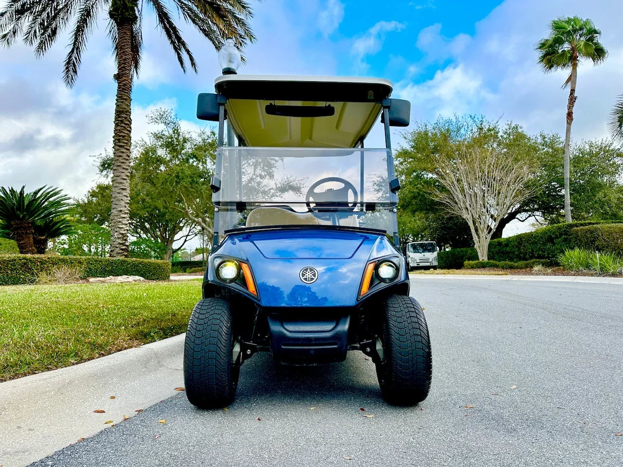 2017 Yamaha Drive 2 QuietTech Golf Cart for Sale