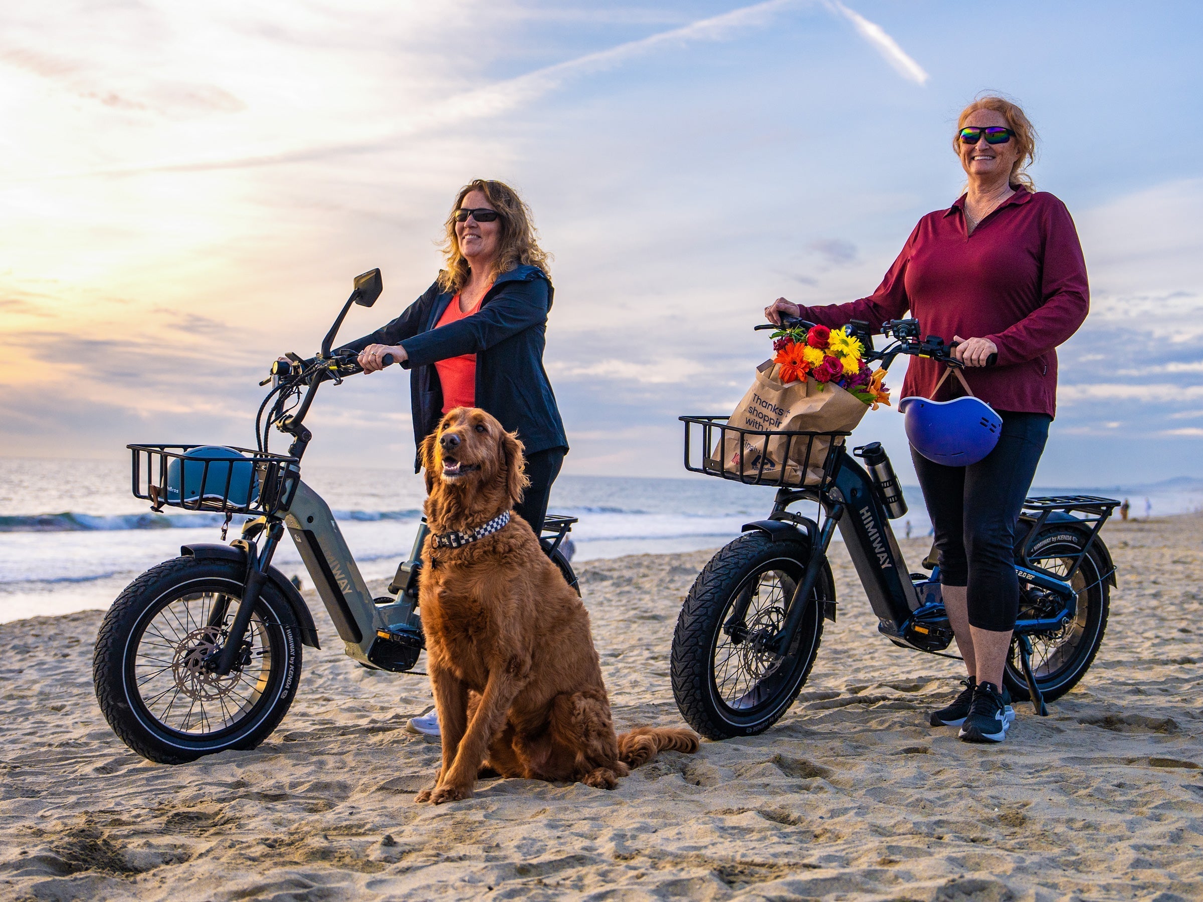 Himiway | D5 2.0 20" | eBike