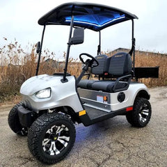 48V Electric Golf Cart 2 Seater Renegade Light Edition Utility Golf UTV W/Utility Box – SILVER