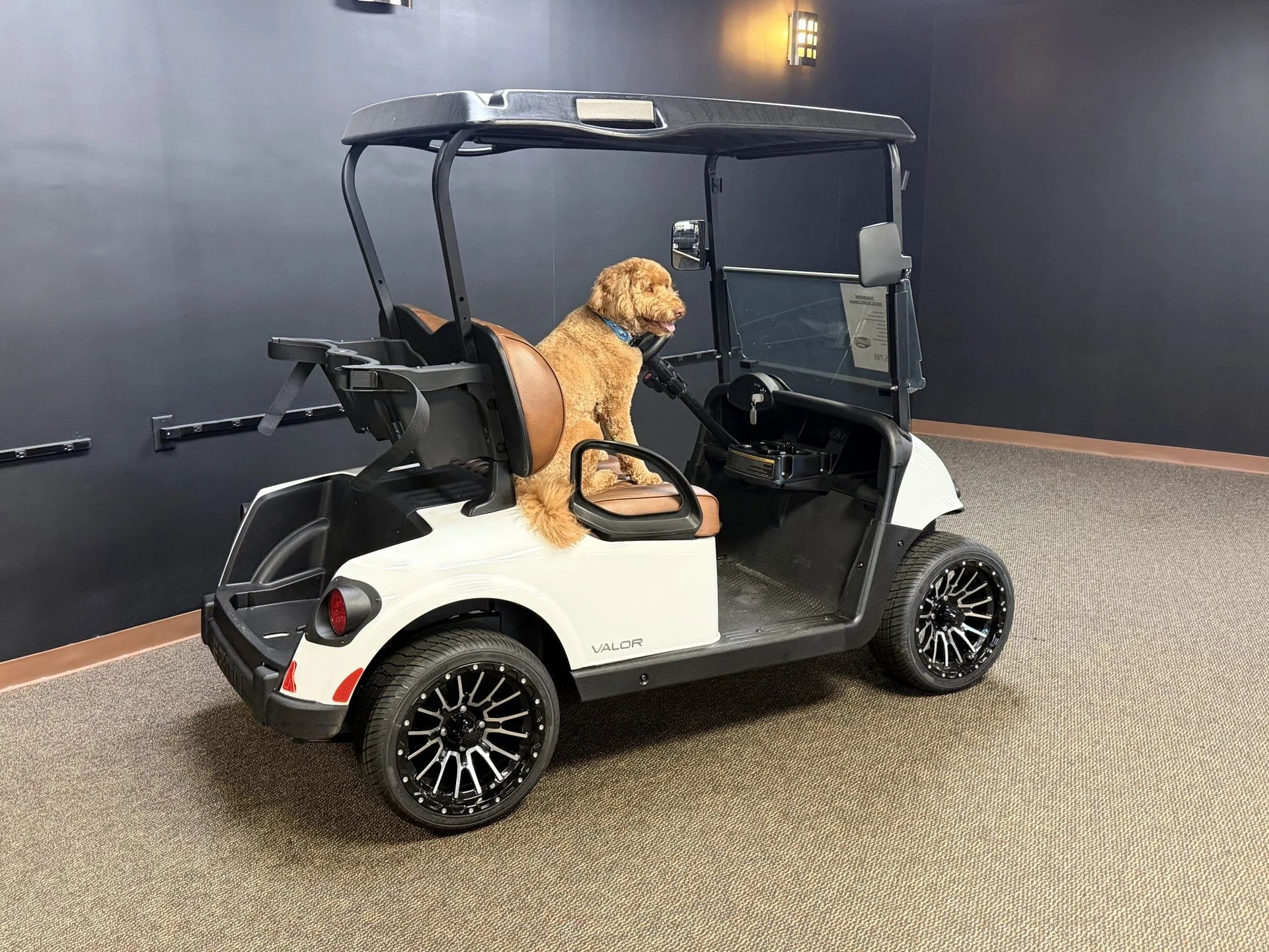 2020 E-Z-GO RXV Elite Lithium Golf Cart for Sale (White)
