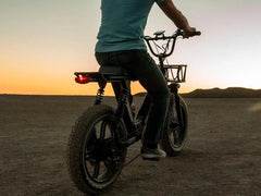 Himiway | Escape Pro | Long Range Moped-Style E-Bike ST