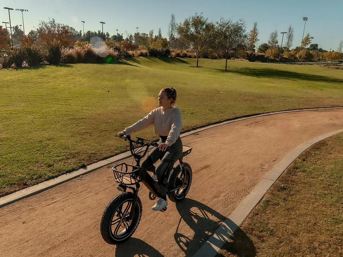 Himiway | Escape Pro | Long Range Moped-Style E-Bike ST