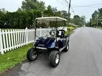 2002 E-Z-GO 4 Passenger Golf Cart For Sale