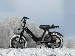 Himiway | Escape Pro | Long Range Moped-Style E-Bike ST
