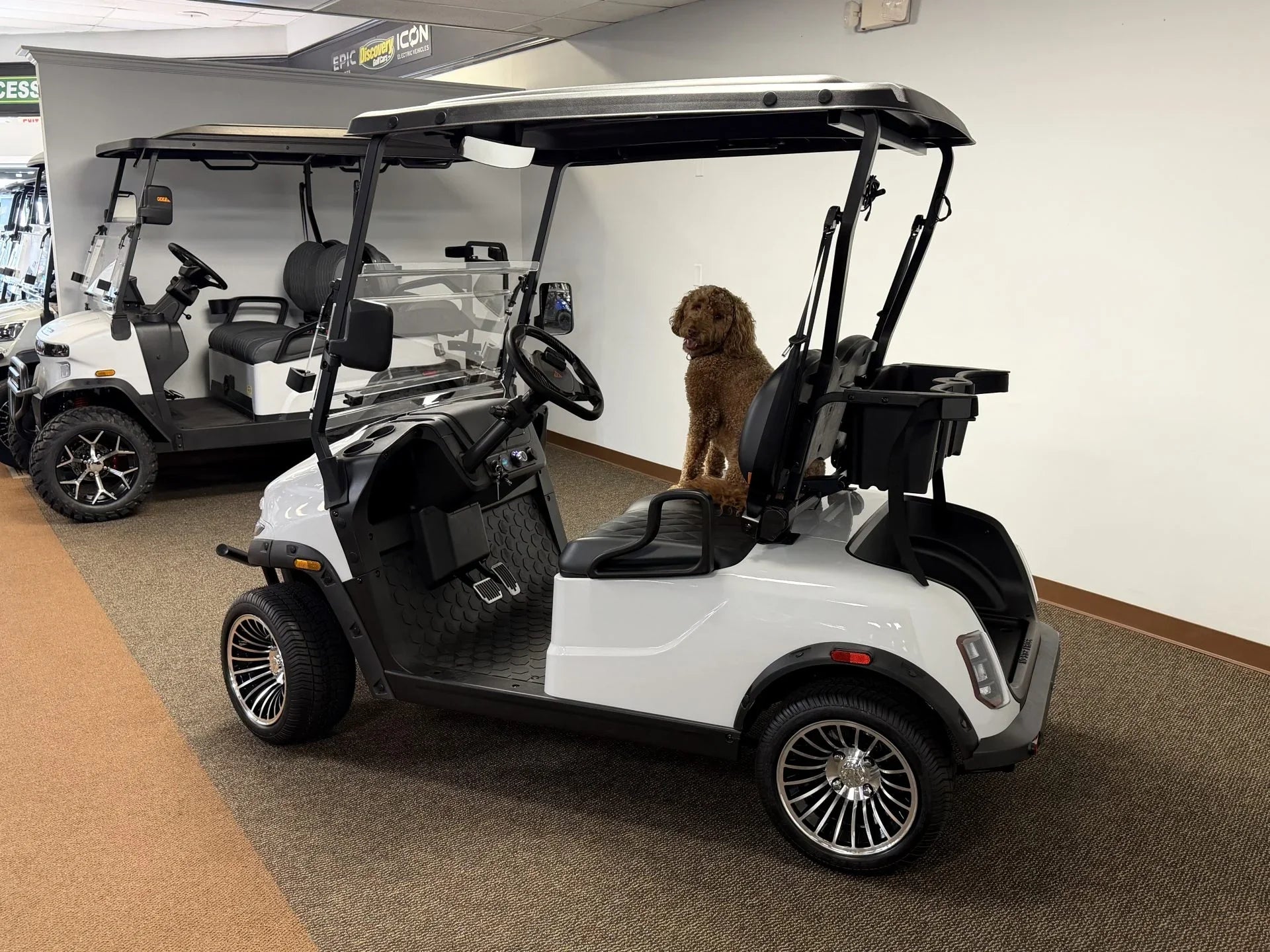 2026 Denago EV Scout 2 Passenger Golf Cart for Sale