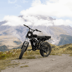 Freego | Shotgun F2 Pro Max Fat Tire E-Bike | 2000W Peak