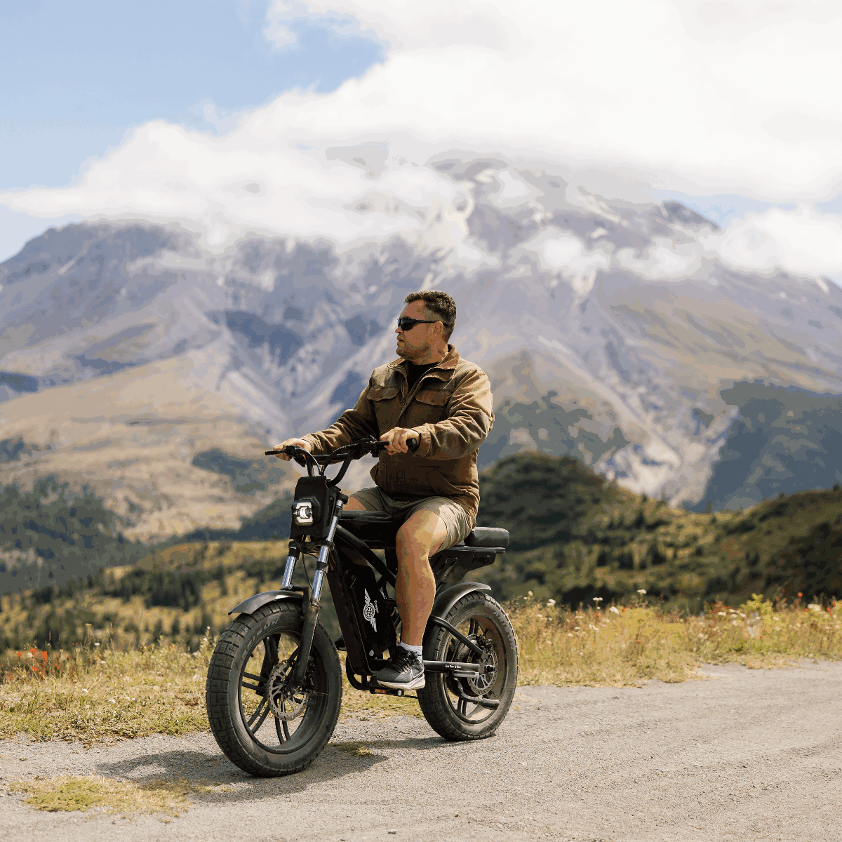 Freego | Shotgun F2 Pro Max Fat Tire E-Bike | 2000W Peak