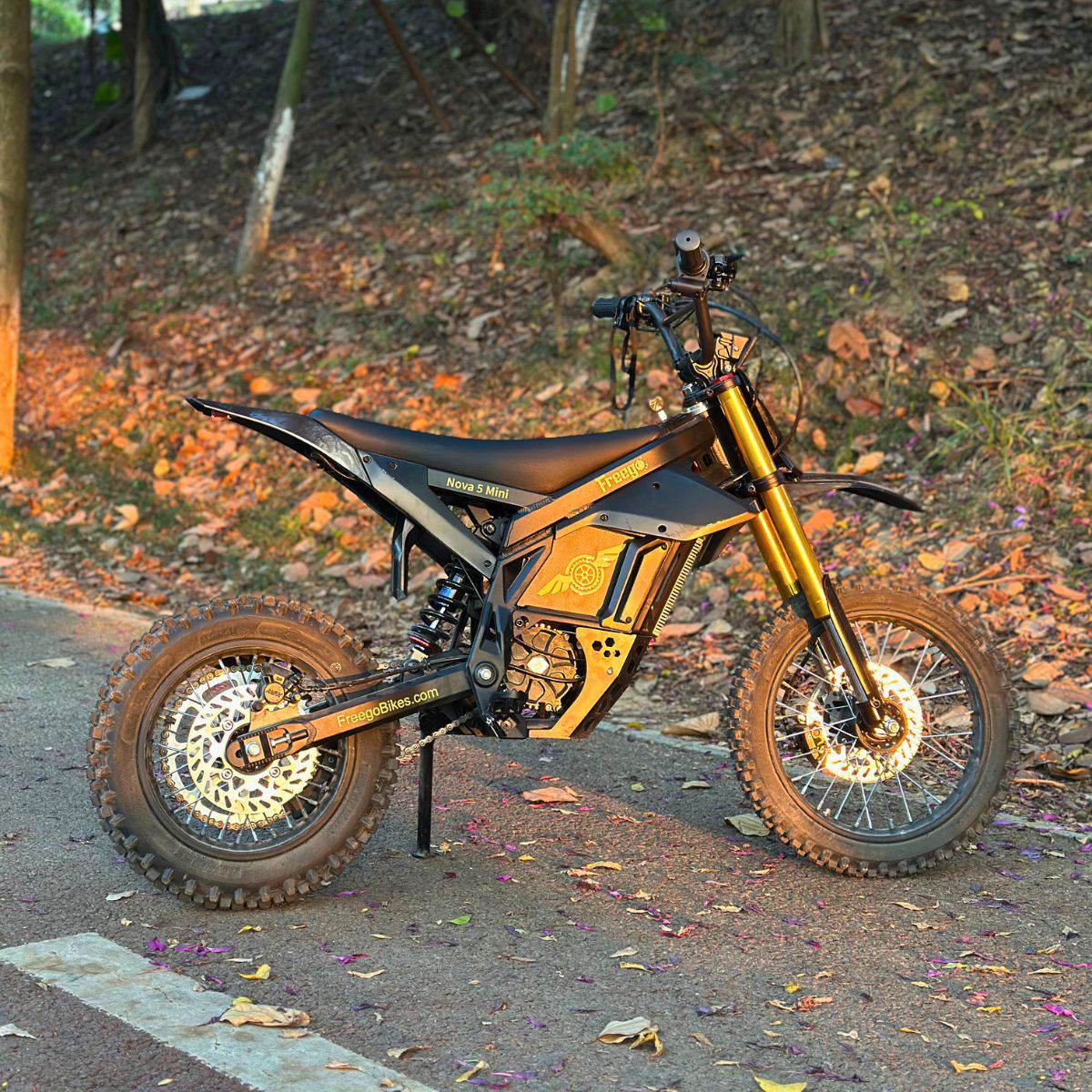 Freego | Nova 5 Mini Mid-Drive E-Bike | 2500W Peak