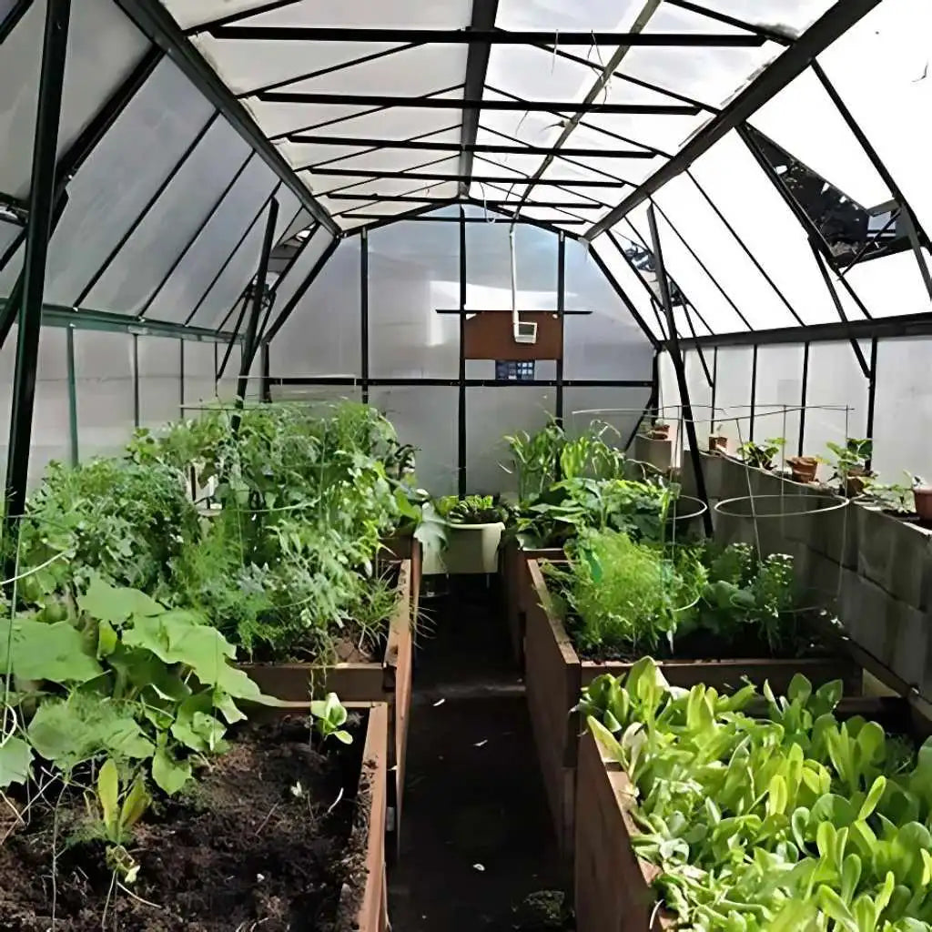 Grandio | Elite 8x16 Greenhouse | ELITE-816