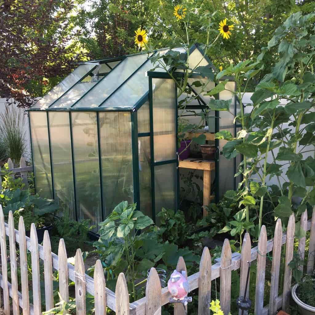 Grandio | Element 6x12 Greenhouse | ELEMENT-612