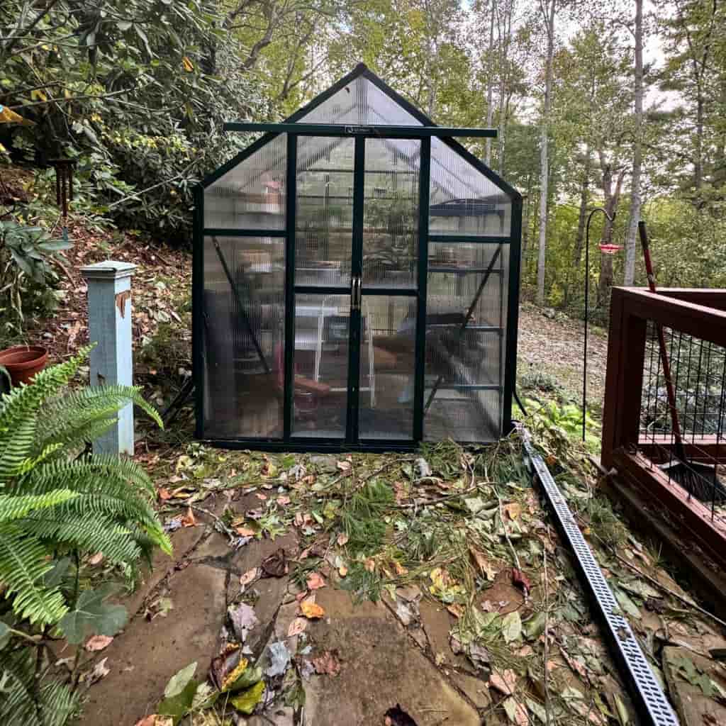 Grandio | Element 6x4 Greenhouse | ELEMENT-64