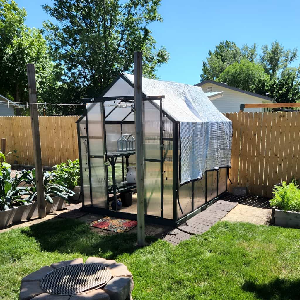 Grandio | Element 6x8 Greenhouse | ELEMENT-68