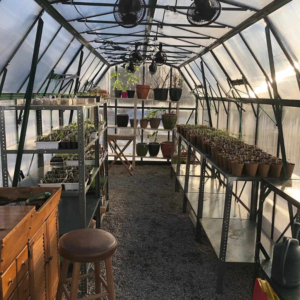 Grandio | Elite 8x24 Greenhouse | ELITE-824