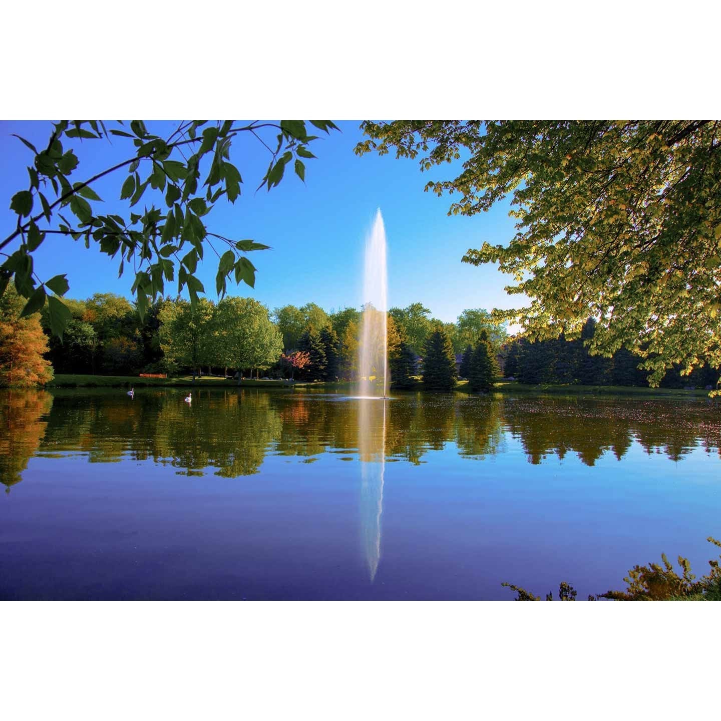 Scott Aerator | Gusher Fountain