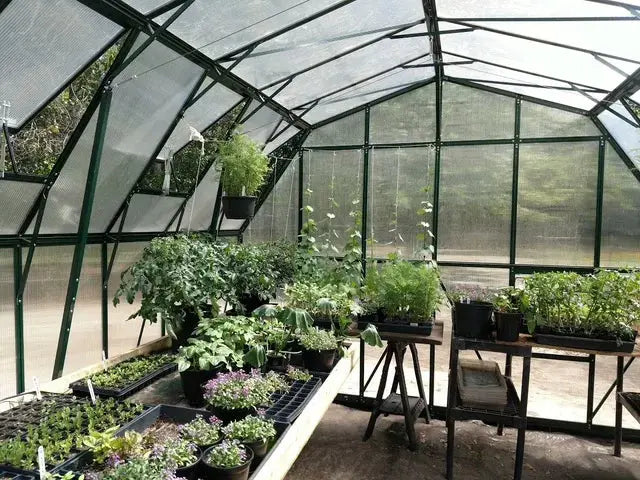 Grandio | Summit 12x20 Greenhouse | SUMMIT-1220